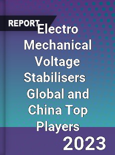 Electro Mechanical Voltage Stabilisers Global and China Top Players Market