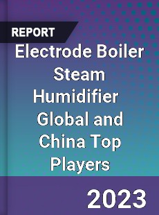 Electrode Boiler Steam Humidifier Global and China Top Players Market