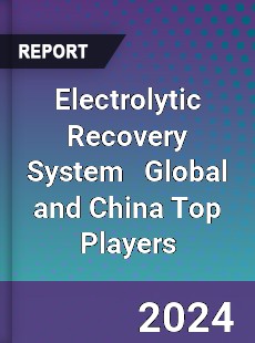 Electrolytic Recovery System Global and China Top Players Market