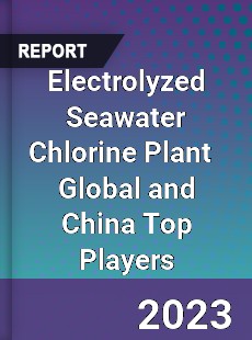 Electrolyzed Seawater Chlorine Plant Global and China Top Players Market