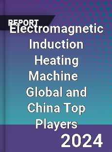 Electromagnetic Induction Heating Machine Global and China Top Players Market