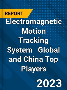 Electromagnetic Motion Tracking System Global and China Top Players Market