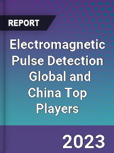 Electromagnetic Pulse Detection Global and China Top Players Market