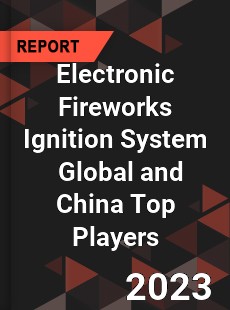 Electronic Fireworks Ignition System Global and China Top Players Market