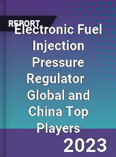 Electronic Fuel Injection Pressure Regulator Global and China Top Players Market