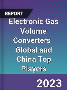 Electronic Gas Volume Converters Global and China Top Players Market