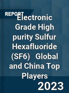 Electronic Grade High purity Sulfur Hexafluoride Global and China Top Players Market