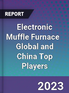 Electronic Muffle Furnace Global and China Top Players Market