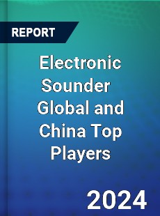 Electronic Sounder Global and China Top Players Market