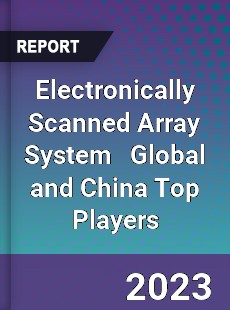 Electronically Scanned Array System Global and China Top Players Market