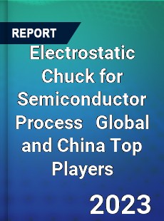 Electrostatic Chuck for Semiconductor Process Global and China Top Players Market