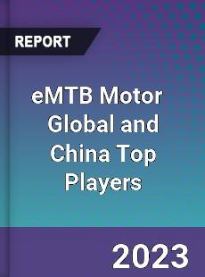 eMTB Motor Global and China Top Players Market