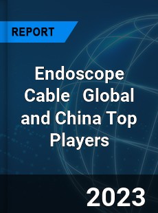 Endoscope Cable Global and China Top Players Market