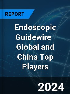 Endoscopic Guidewire Global and China Top Players Market