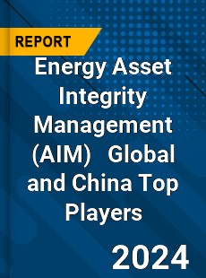 Energy Asset Integrity Management Global and China Top Players Market