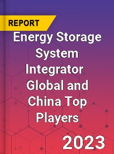 Energy Storage System Integrator Global and China Top Players Market