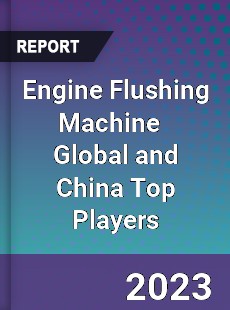 Engine Flushing Machine Global and China Top Players Market