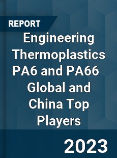 Engineering Thermoplastics PA6 and PA66 Global and China Top Players Market