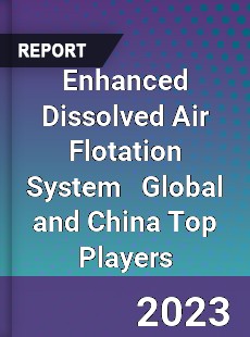 Enhanced Dissolved Air Flotation System Global and China Top Players Market