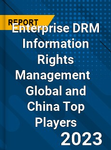 Enterprise DRM Information Rights Management Global and China Top Players Market