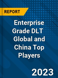 Enterprise Grade DLT Global and China Top Players Market