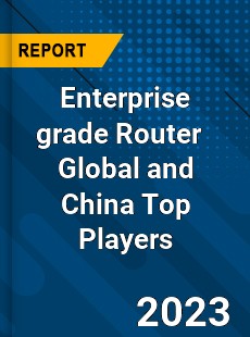 Enterprise grade Router Global and China Top Players Market