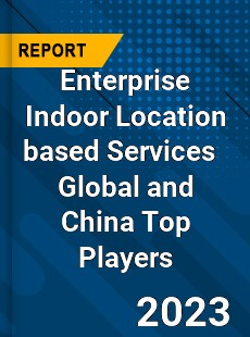 Enterprise Indoor Location based Services Global and China Top Players Market