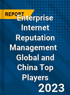 Enterprise Internet Reputation Management Global and China Top Players Market