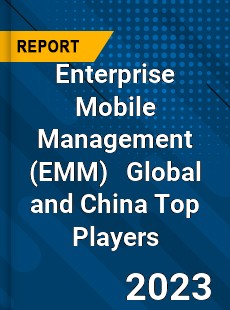 Enterprise Mobile Management Global and China Top Players Market