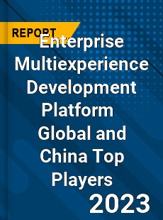 Enterprise Multiexperience Development Platform Global and China Top Players Market