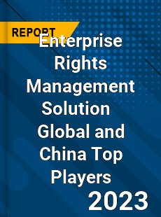 Enterprise Rights Management Solution Global and China Top Players Market