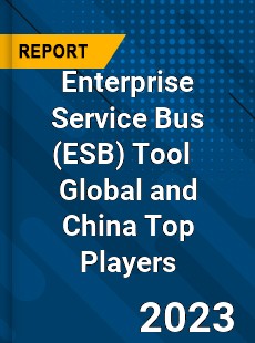 Enterprise Service Bus Tool Global and China Top Players Market