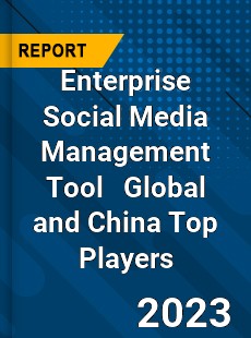 Enterprise Social Media Management Tool Global and China Top Players Market