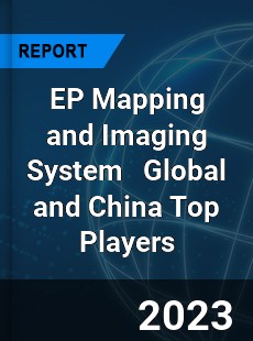 EP Mapping and Imaging System Global and China Top Players Market