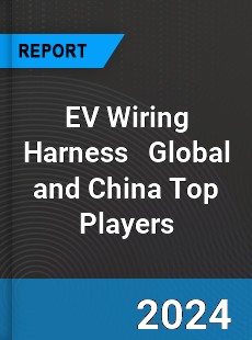 EV Wiring Harness Global and China Top Players Market