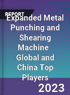 Expanded Metal Punching and Shearing Machine Global and China Top Players Market