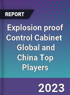 Explosion proof Control Cabinet Global and China Top Players Market