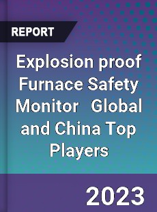 Explosion proof Furnace Safety Monitor Global and China Top Players Market