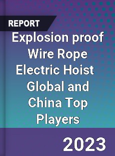 Explosion proof Wire Rope Electric Hoist Global and China Top Players Market