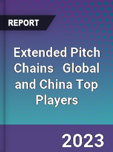 Extended Pitch Chains Global and China Top Players Market