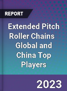 Extended Pitch Roller Chains Global and China Top Players Market