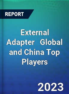 External Adapter Global and China Top Players Market