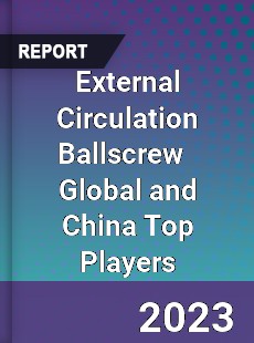 External Circulation Ballscrew Global and China Top Players Market