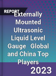 Externally Mounted Ultrasonic Liquid Level Gauge Global and China Top Players Market