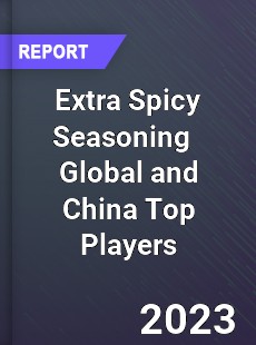 Extra Spicy Seasoning Global and China Top Players Market