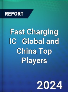 Fast Charging IC Global and China Top Players Market