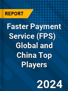 Faster Payment Service Global and China Top Players Market