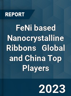 FeNi based Nanocrystalline Ribbons Global and China Top Players Market