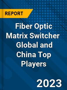 Fiber Optic Matrix Switcher Global and China Top Players Market