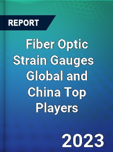 Fiber Optic Strain Gauges Global and China Top Players Market